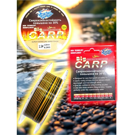 Леска Big CARP 0.20mm 100 метров