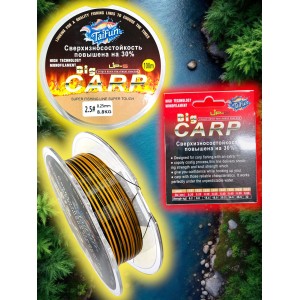 Леска Big CARP 0.25mm 100 метров