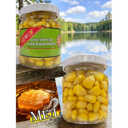 Крупная кукуруза насадочная с ароматом меда 