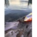 Блесна пилькер-колебалка 30 грамм  на судака,щуку,окуня красноголовый тигр